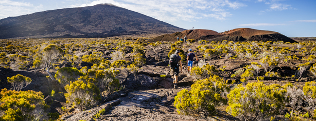 Mehrere Personen wandern durch die Lavalandschaft des Piton de la Fournaise auf La Réunion bei einer LISA! Sprachreise Französisch